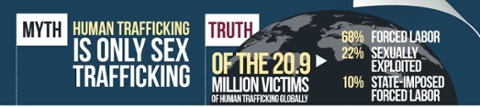 Myth: Human Trafficking is only sex trafficking. Truth: of the 20.9 Million victims of Human Trafficking Globally; 68 percentL Forced Labor, 22 Percent: Sexually Exploited, 10 percent: State-imposed Forced Labor.