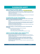 Image of Floodwater Safety Factsheet internal link to accessible text version